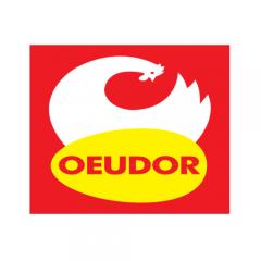 Oeudor logo