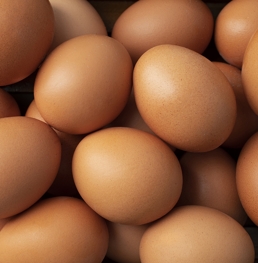 Oeudor