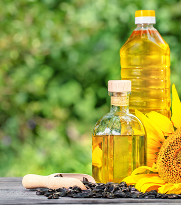 Moroil Sunflower