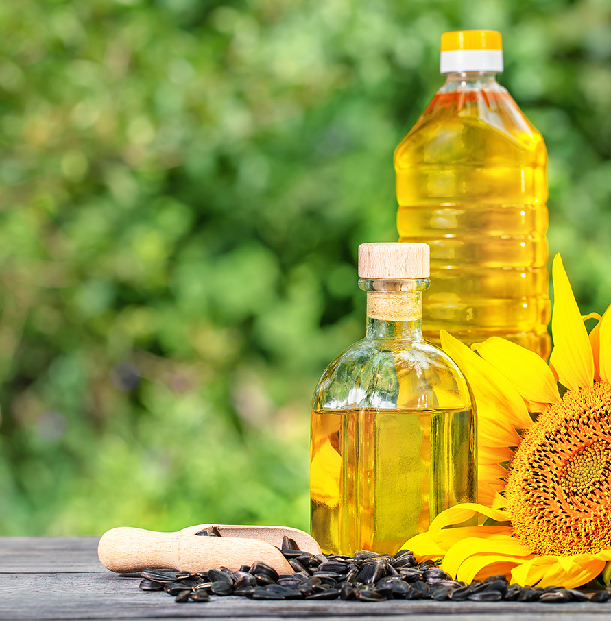 Moroil Sunflower