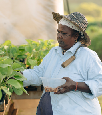 Aranya Farms