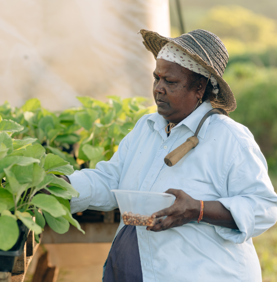 Aranya Farms