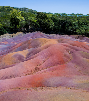 Discover Mauritius