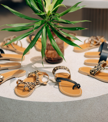 Goyave Concept Store Ltée
